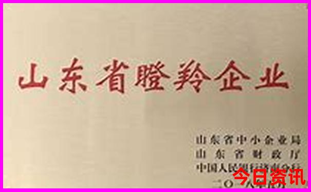 山东自驾游必去景点