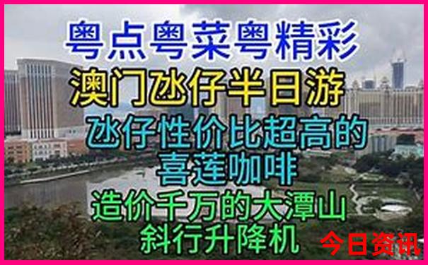 贵州油菜花景点在哪里
